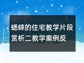 蟋蟀的住宅教學(xué)片段賞析二教學(xué)案例反思一等獎