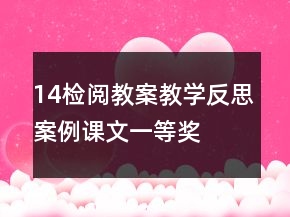 14檢閱教案教學(xué)反思案例課文一等獎(jiǎng)