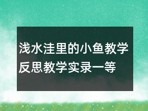 淺水洼里的小魚教學(xué)反思教學(xué)實(shí)錄一等獎(jiǎng)