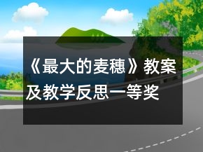 《最大的麥穗》教案及教學(xué)反思一等獎