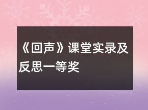 《回聲》課堂實(shí)錄及反思一等獎
