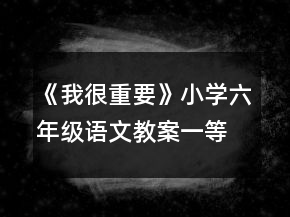 《我很重要》小學(xué)六年級語文教案一等獎(jiǎng)