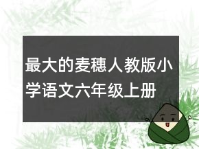 最大的麥穗人教版小學(xué)語(yǔ)文六年級(jí)上冊(cè)說(shuō)課稿一等獎(jiǎng)