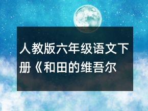 人教版六年級語文下冊《和田的維吾爾》教案一等獎