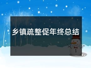 鄉(xiāng)鎮(zhèn)疏整促年終總結(jié)