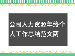 公司人力資源年終個(gè)人工作總結(jié)范文兩