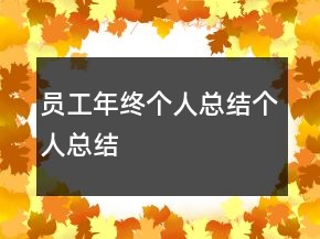 員工年終個(gè)人總結(jié)個(gè)人總結(jié)