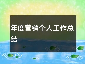 年度營(yíng)銷個(gè)人工作總結(jié)