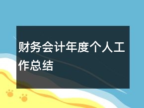 財務會計年度個人工作總結