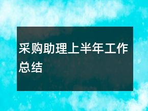 采購助理上半年工作總結(jié)