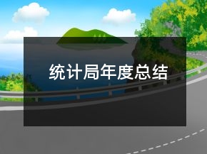 統(tǒng)計局年度總結