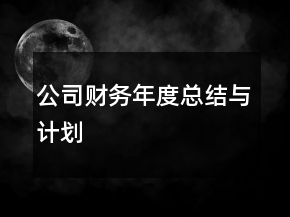 公司財務年度總結與計劃