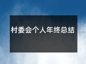 村委會個人年終總結