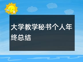 大學(xué)教學(xué)秘書個(gè)人年終總結(jié)