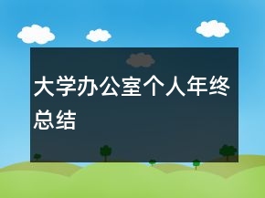 大學(xué)辦公室個(gè)人年終總結(jié)