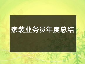 家裝業(yè)務(wù)員年度總結(jié)