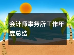 會計師事務(wù)所工作年度總結(jié)