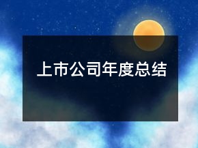 上市公司年度總結(jié)