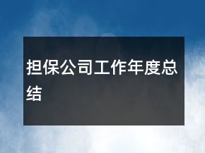 擔(dān)保公司工作年度總結(jié)