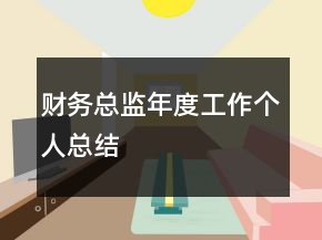 財務總監(jiān)年度工作個人總結