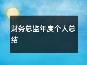 財務總監(jiān)年度個人總結