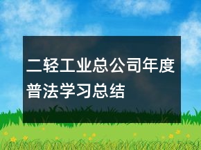 二輕工業(yè)總公司年度普法學習總結