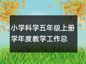 小學(xué)科學(xué)五年級(jí)上冊(cè)學(xué)年度教學(xué)工作總結(jié)