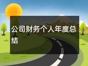 公司財(cái)務(wù)個人年度總結(jié)