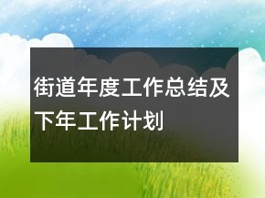 街道年度工作總結(jié)及下年工作計劃