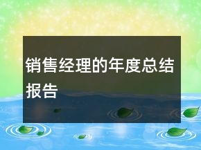 銷售經(jīng)理的年度總結(jié)報告