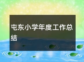 屯東小學年度工作總結