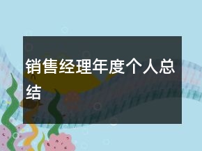 銷售經(jīng)理年度個人總結(jié)