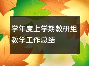 學(xué)年度上學(xué)期教研組教學(xué)工作總結(jié)