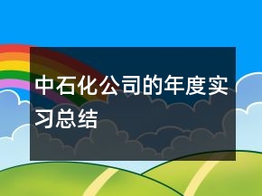 中石化公司的年度實(shí)習(xí)總結(jié)