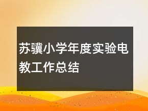 蘇驥小學年度實驗電教工作總結