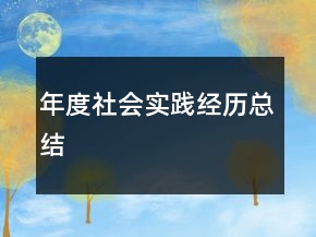 年度社會(huì)實(shí)踐經(jīng)歷總結(jié)