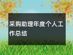 采購助理年度個(gè)人工作總結(jié)