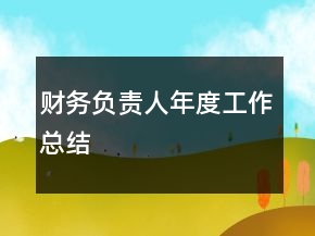 財務(wù)負責(zé)人年度工作總結(jié)