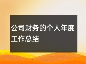 公司財務的個人年度工作總結