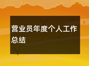 營業(yè)員年度個人工作總結(jié)