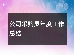公司采購(gòu)員年度工作總結(jié)