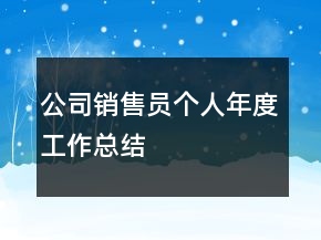 公司銷(xiāo)售員個(gè)人年度工作總結(jié)