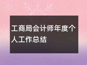 工商局會計師年度個人工作總結(jié)
