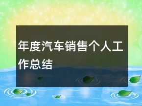 年度汽車銷售個人工作總結