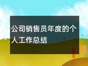 公司銷(xiāo)售員年度的個(gè)人工作總結(jié)