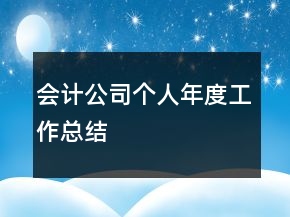 會計公司個人年度工作總結(jié)