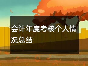 會(huì)計(jì)年度考核個(gè)人情況總結(jié)