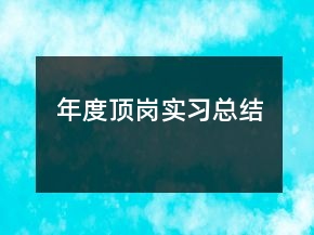 年度頂崗實(shí)習(xí)總結(jié)