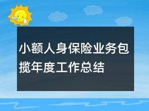 小額人身保險業(yè)務包攬年度工作總結