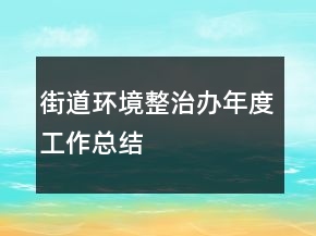 街道環(huán)境整治辦年度工作總結(jié)